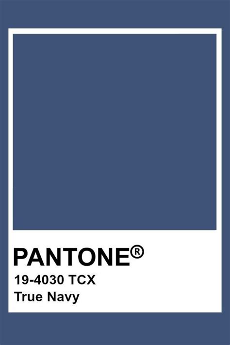 pantone 19 4030 color.